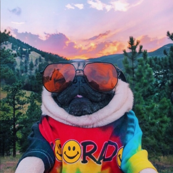 Meet your Posher, Sarah - Picture 1 of 1